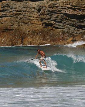 ANDY F.- P BOARD