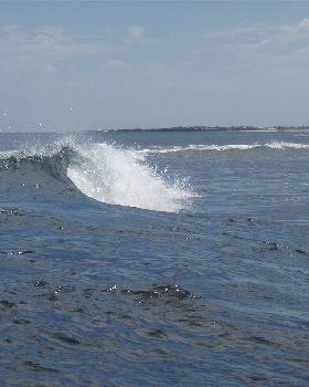 Surfing