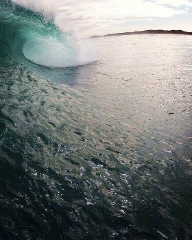 That's a stand up put ya hands up job. A local island oasis