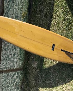 Surfing