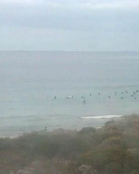 Surfing