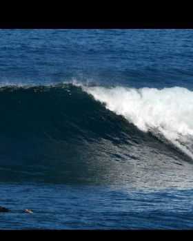 Surfing