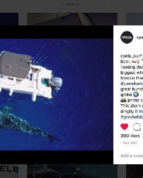 Screen Shot 2018-11-15 at 11.02.37 am