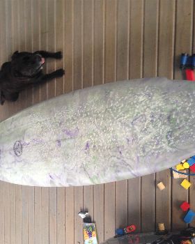 Surfing