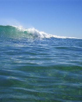 Surfing