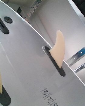 fins