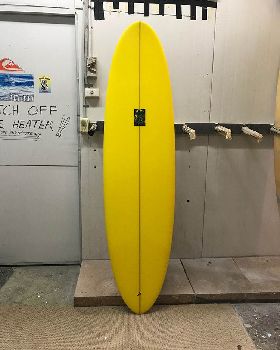 Wayne Lynch Evo