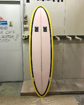 Wayne Lynch Evo