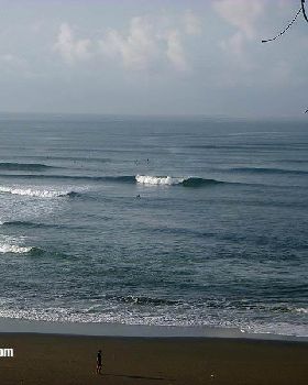 Surfing