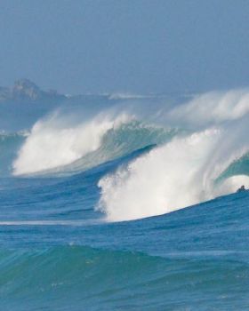 Surfing