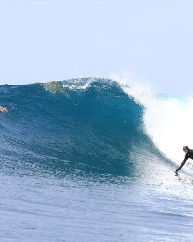 Indo on the Jiwa