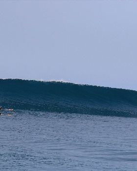 Indo on the Jiwa