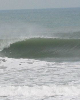 Surfing