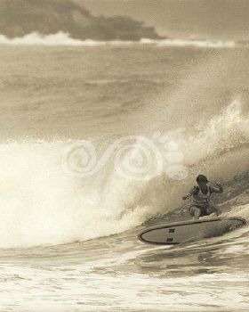 wayne lynch