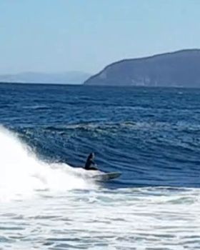 Surfing