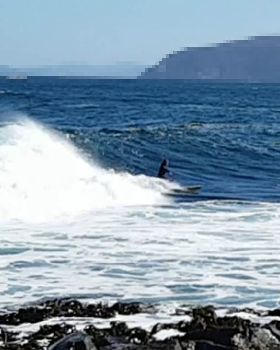 Surfing