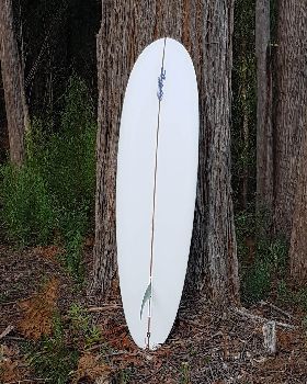 Surfing