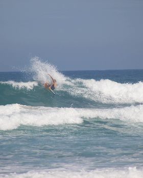 surf at my local