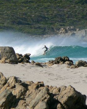 An early morning midweek surf