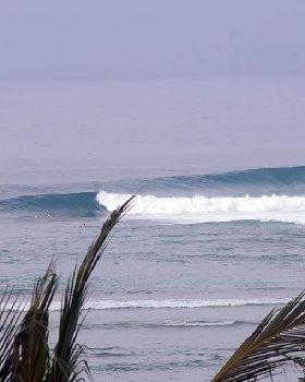 Surfing