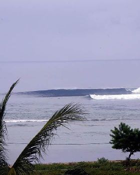 Surfing