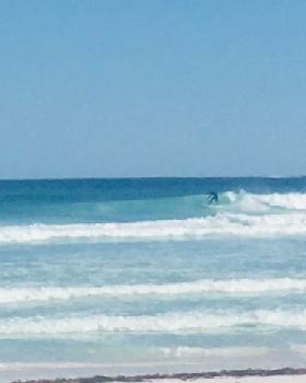 Surfing