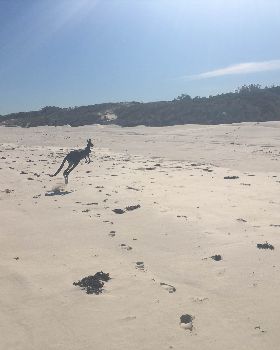 Surfing