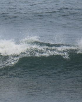 Surfing