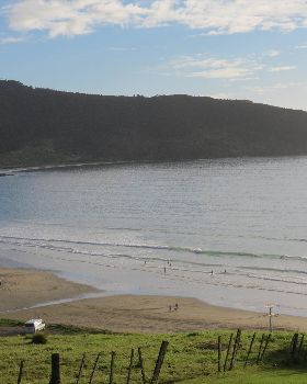 cc in nz