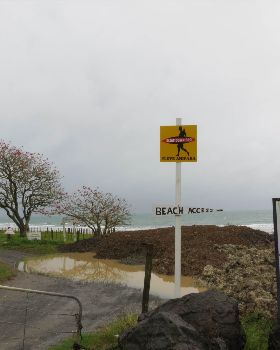 cc in nz
