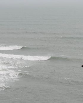 cc in nz