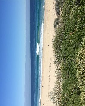 Surfing