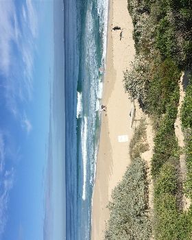 Surfing