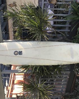 Surfing