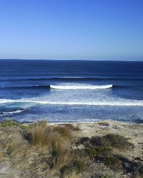 Surfing
