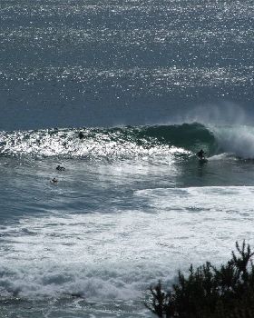 Surfing