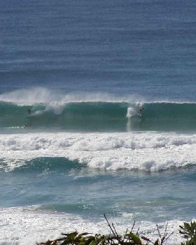don't forget your surfboard when you go to NOOSA