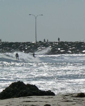 The Cove