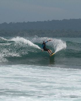 Surfing