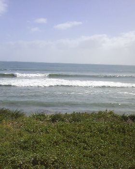 Surfing