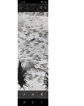 Screenshot 20200214-165145 Gallery