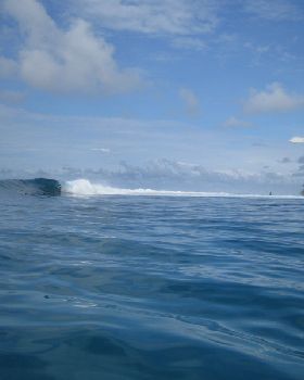mates keg indo