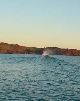 Surfing