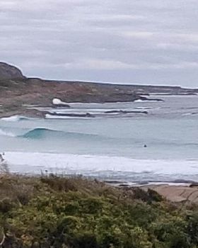 Surfing