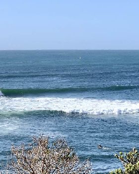 Surfing