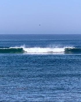 Surfing