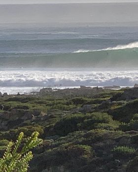 Surfing