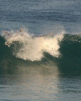 Surfing