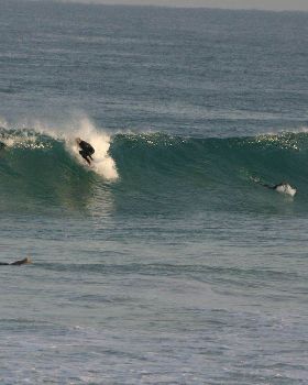Surfing