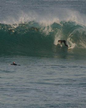 Surfing